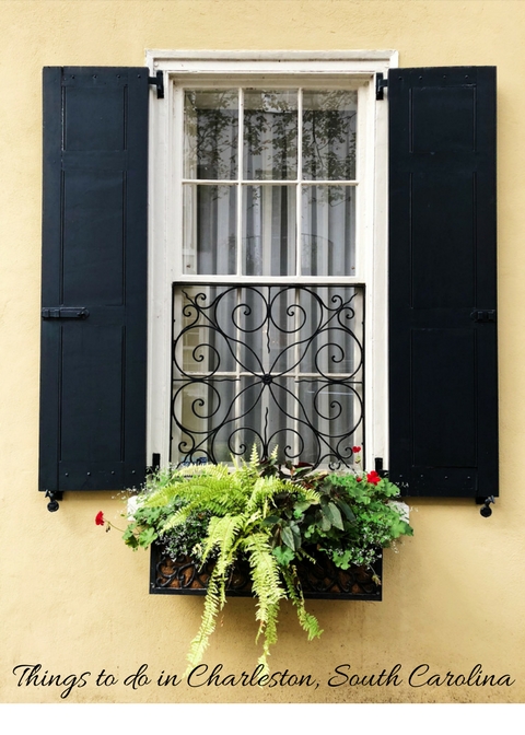 Things to do in Charleston, South Carolina